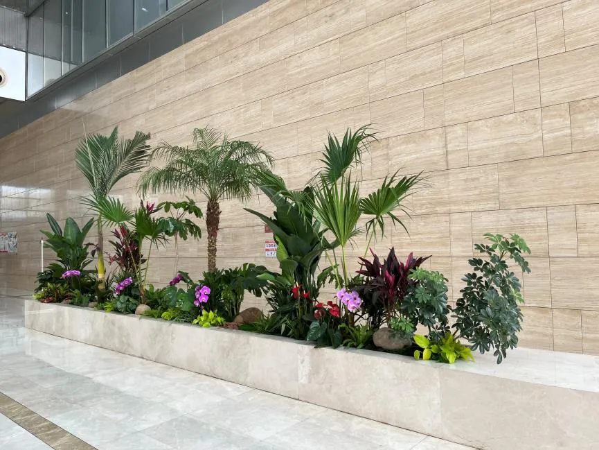 镇海花卉租摆，轻松营造生机勃勃的办公环境