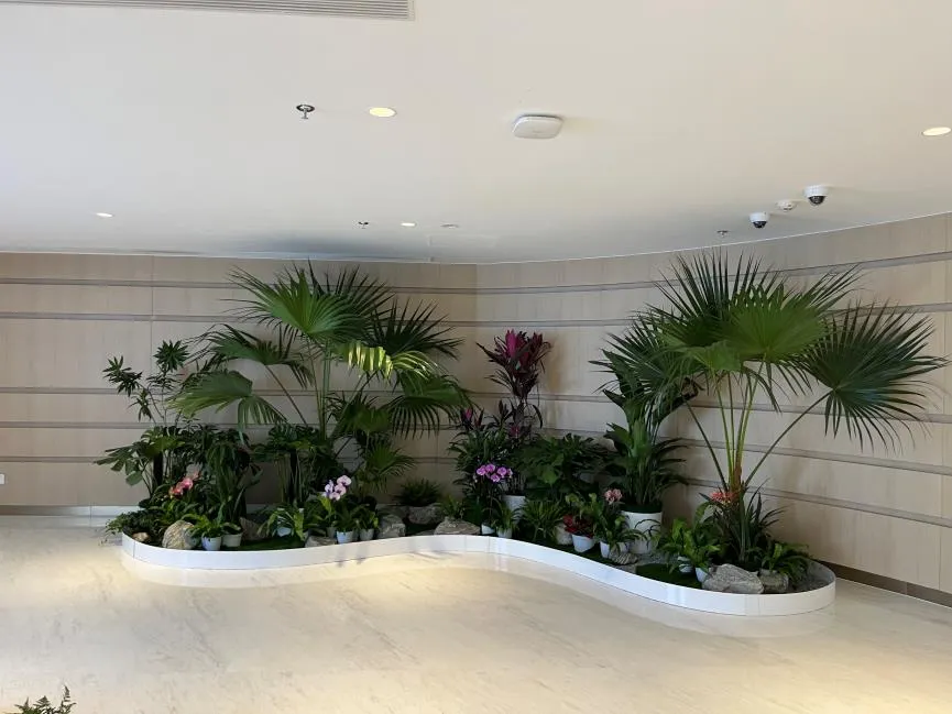 鄞州盆景租赁,为你的环境注入自然之美